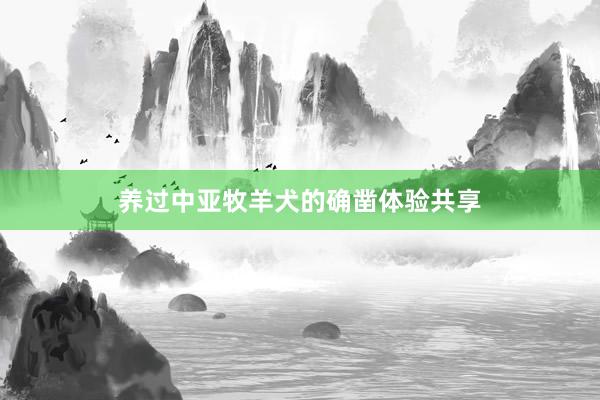 养过中亚牧羊犬的确凿体验共享